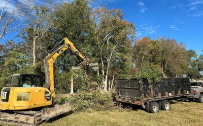 Land Clearing for Future Projects: Why It’s the First Step to Success