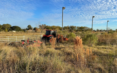 Bush Hogging Services for Commercial and Residential Properties by 1 Young Man and a Tractor