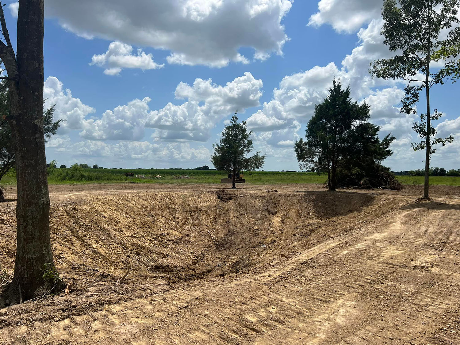 Land Clearing Lafayette LA