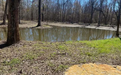 Pond Cleanup with 1 Young Man and a Tractor